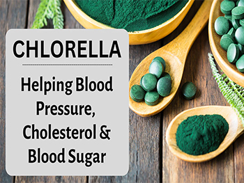 How Does Organic Chlorella Powder Prevent Anemia?